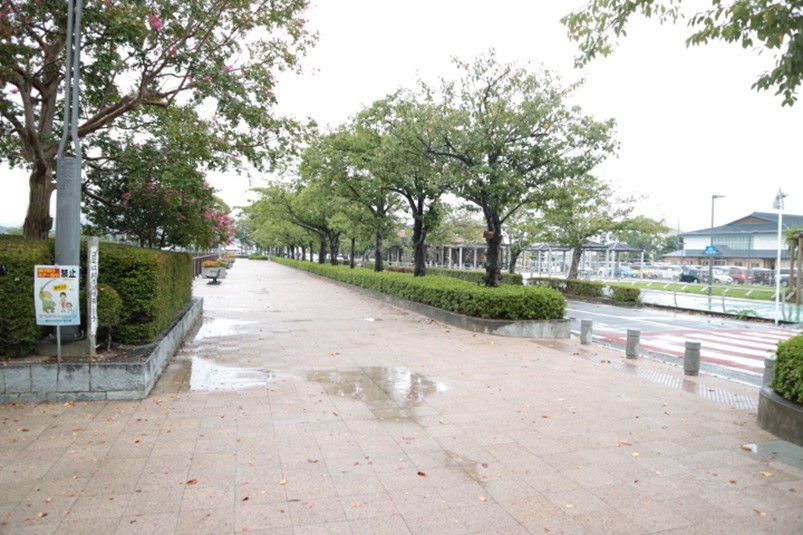 静岡県藤枝市蓮華寺池公園前の道路