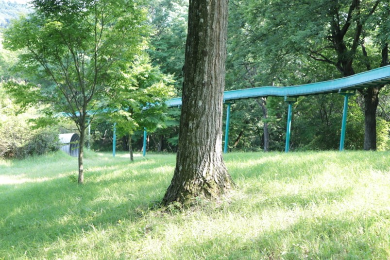茨城県笠間市北山公園の茨城最長のローラースライダー