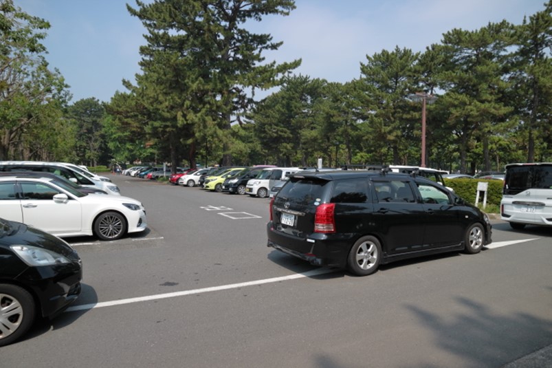 平塚市総合公園南駐車場わんぱく広場最寄