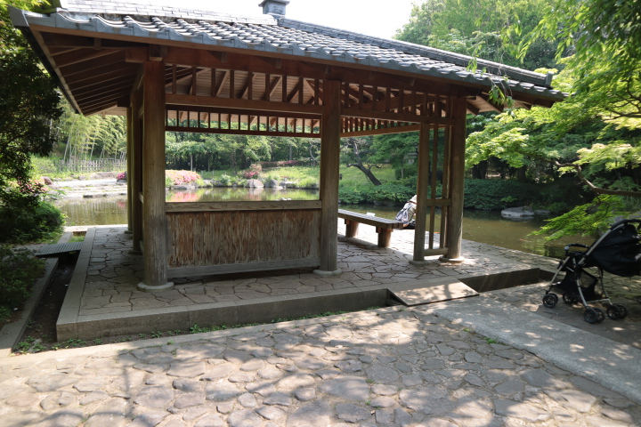 平塚市総合公園