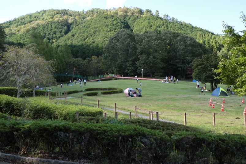 都立公園ガイド令和６年度版。 都立公園ガイド令和6年度版。 都立公園ガイド（令和5年度～6